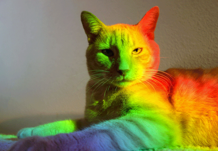 Rainbow gif